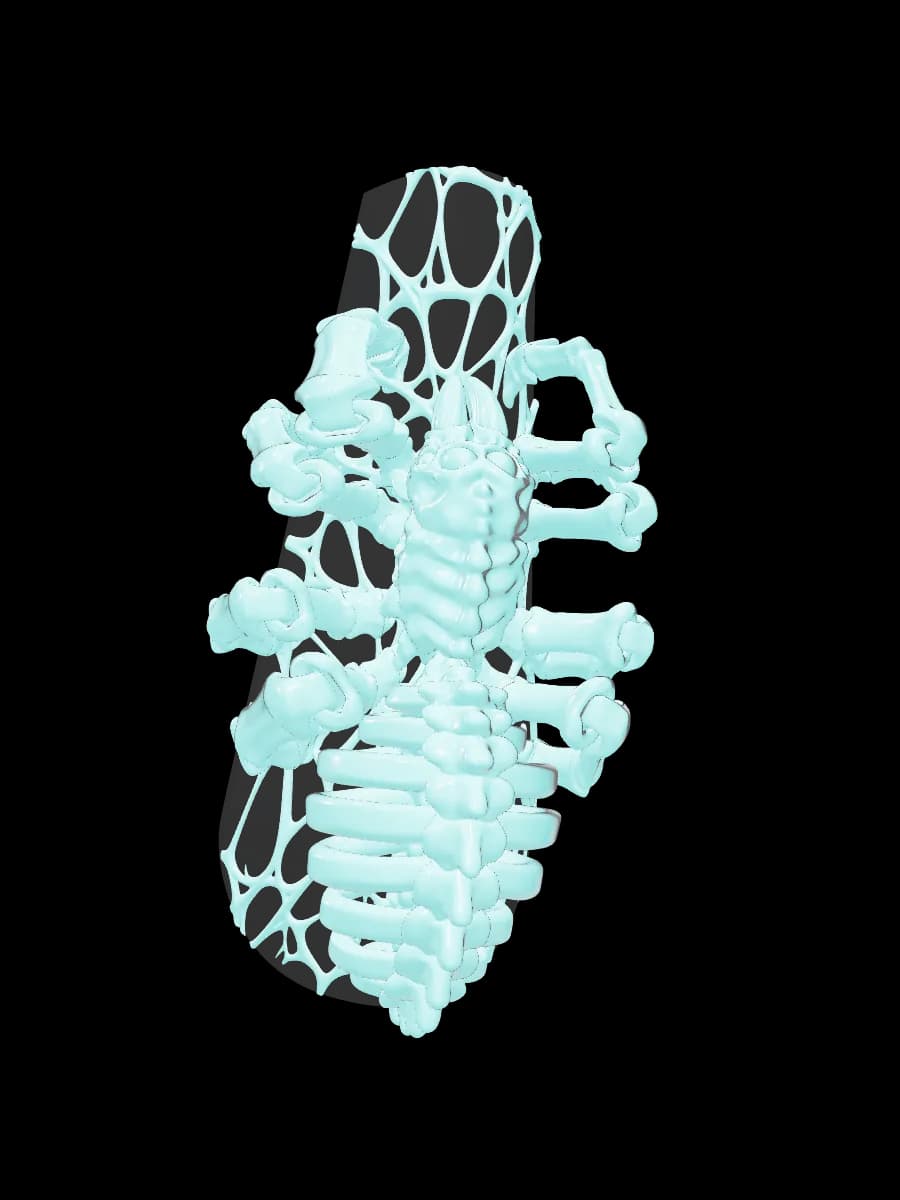 Crypt Crawler, coffin