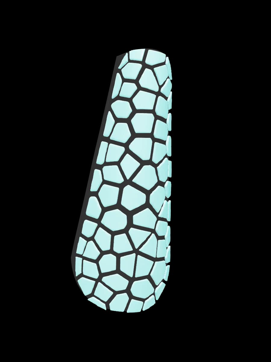 Fractured Relic, coffin