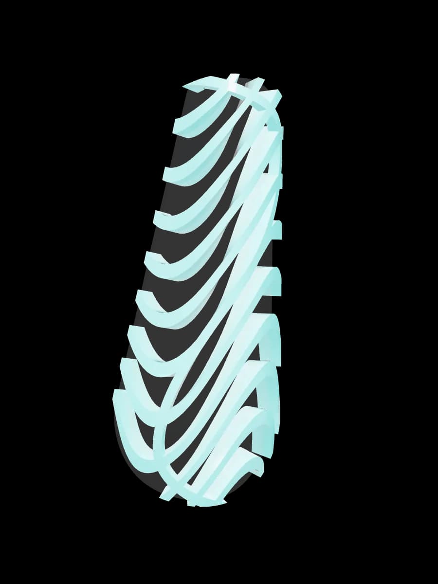 Tidal Form, coffin