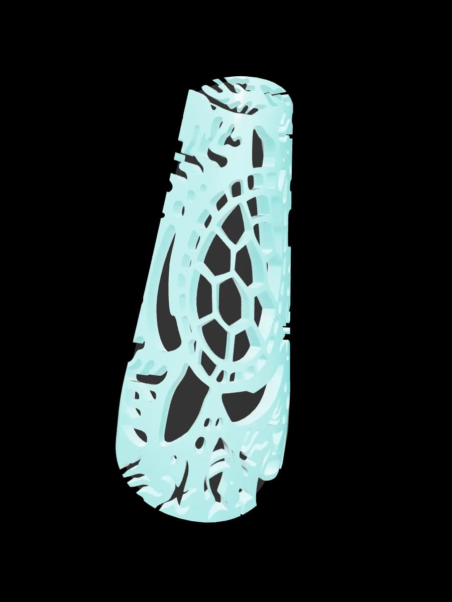 Turtle's Reef, coffin